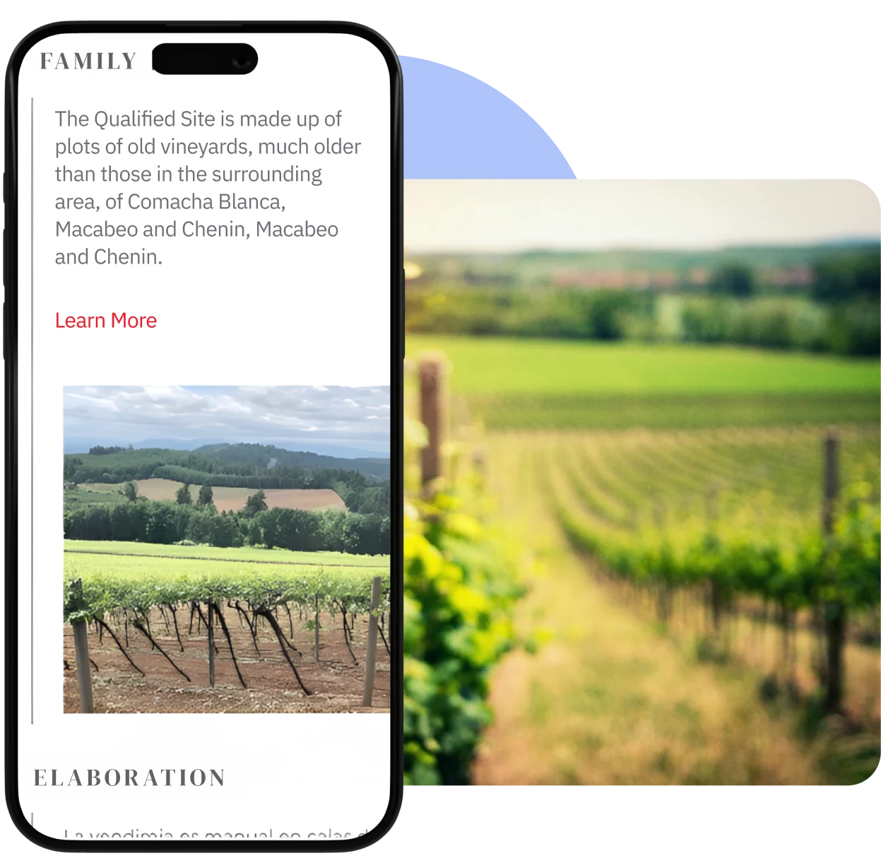 Tell your wine story digitally